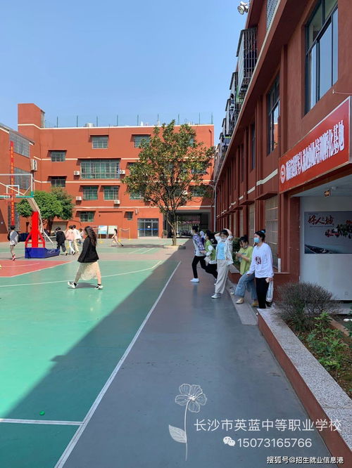 长沙电子商务专业怎么样